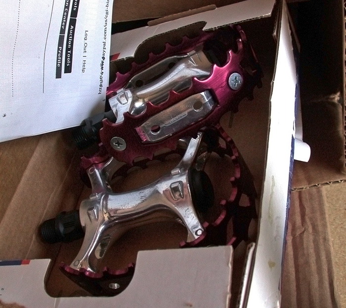 dscn8387.jpg